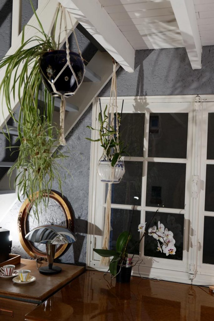 Première suspension à plante en macramé devant la fenêtre