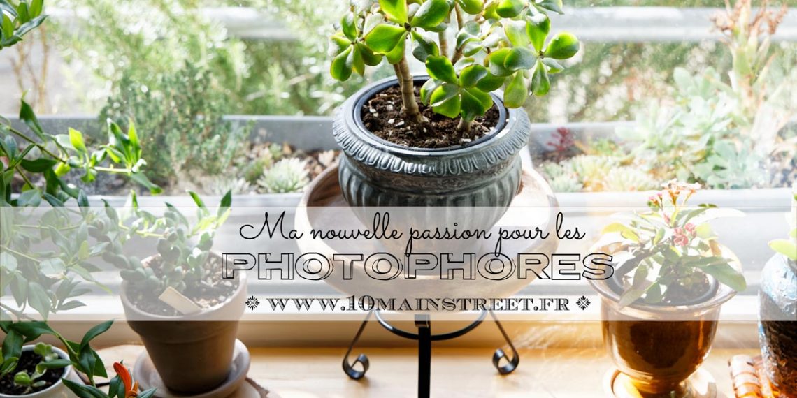 Le photophore : ma nouvelle passion ! Des supports à plante à l'infini !!!
