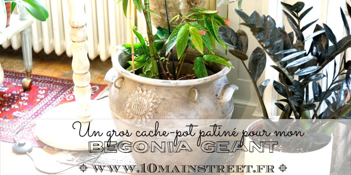 Un gros cache-pot patiné pour mon bégonia géant