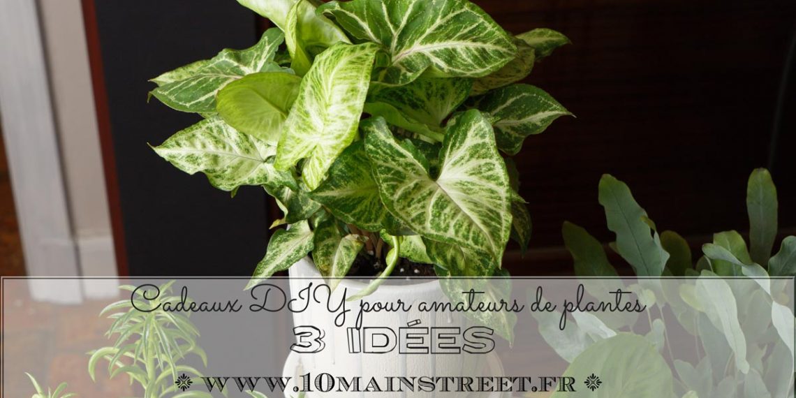 Cadeaux DIY pour amateurs de plantes : 3 idées