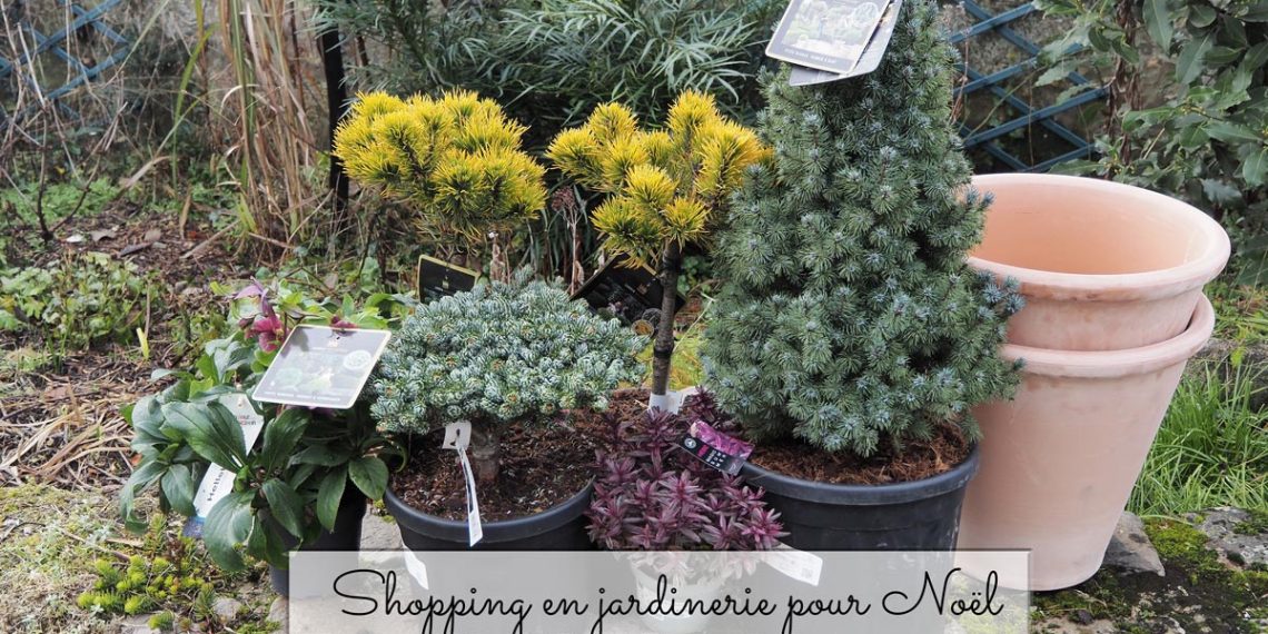 Shopping en jardinerie pour Noël (blogmas 22)