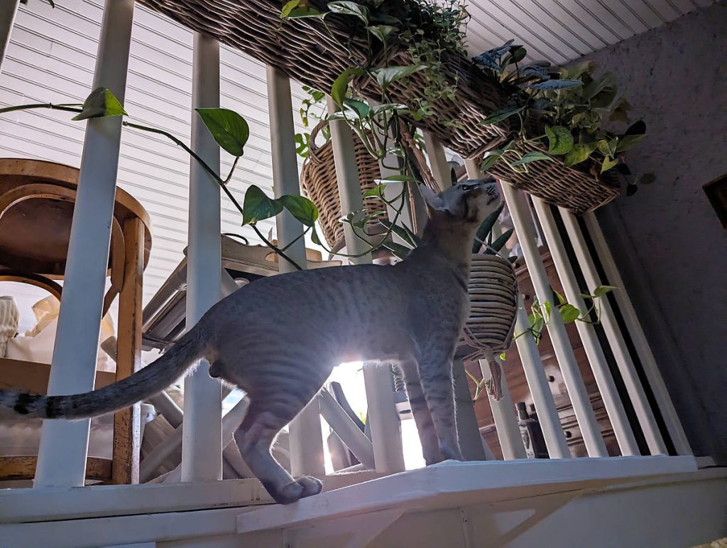 Nouvelle tablette en place