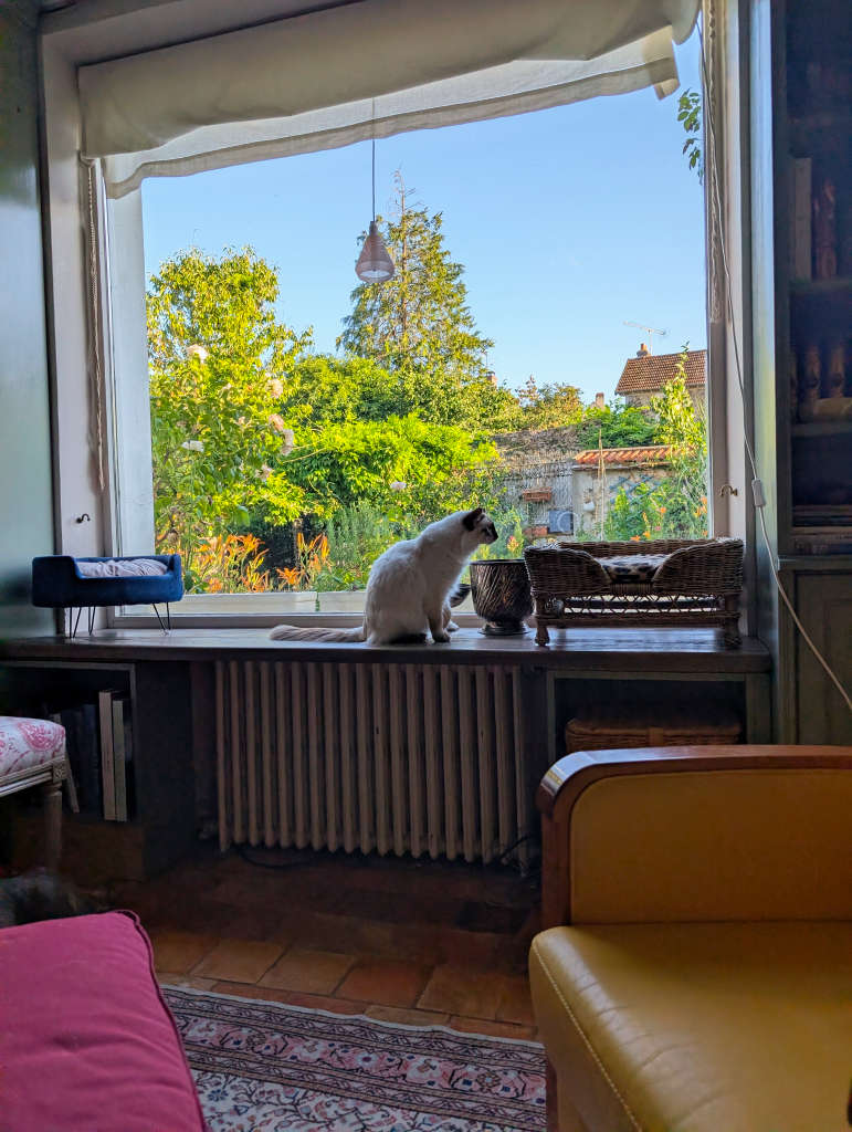Tullia sur le nouvel appui de fenêtre