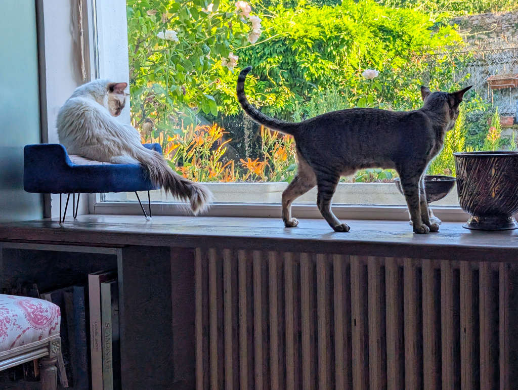 Julius & Tullia