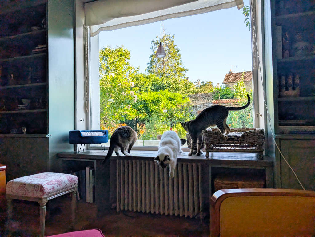 Juliu, Octavie & Tullia
