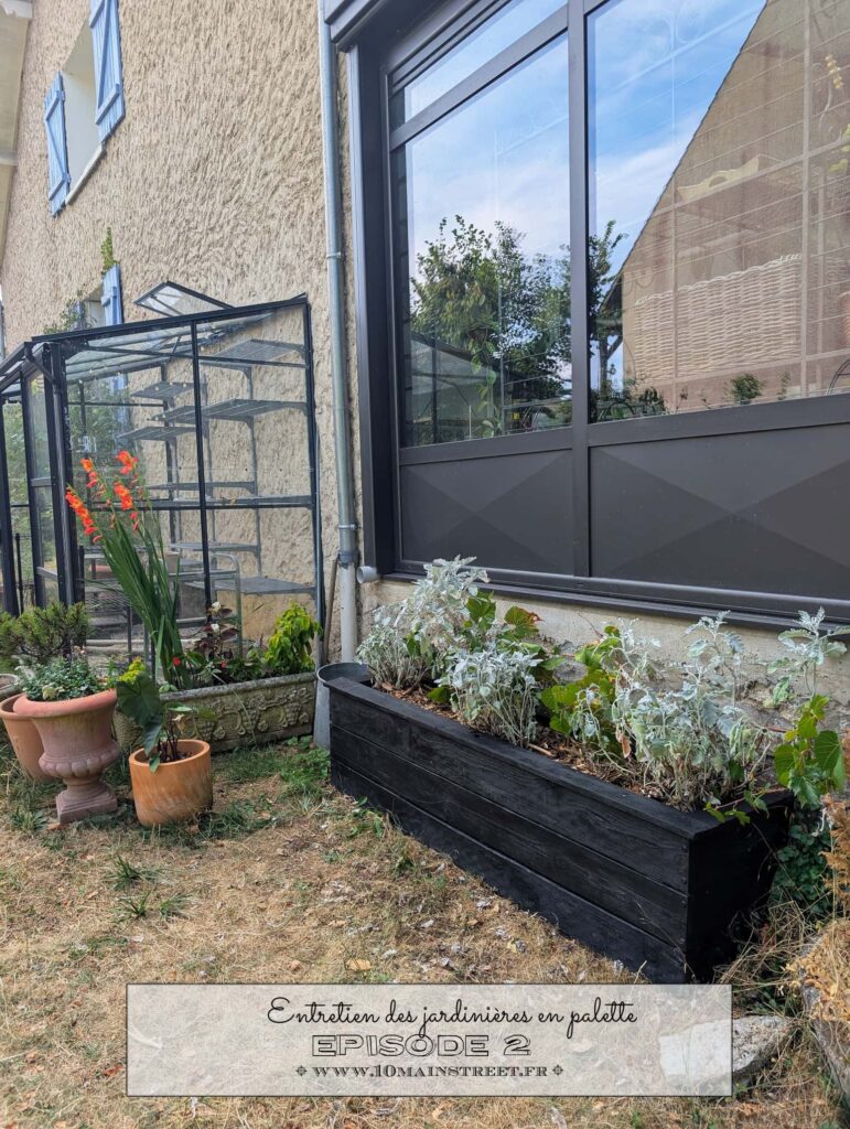 Entretien des jardinières en palette : épisode 2