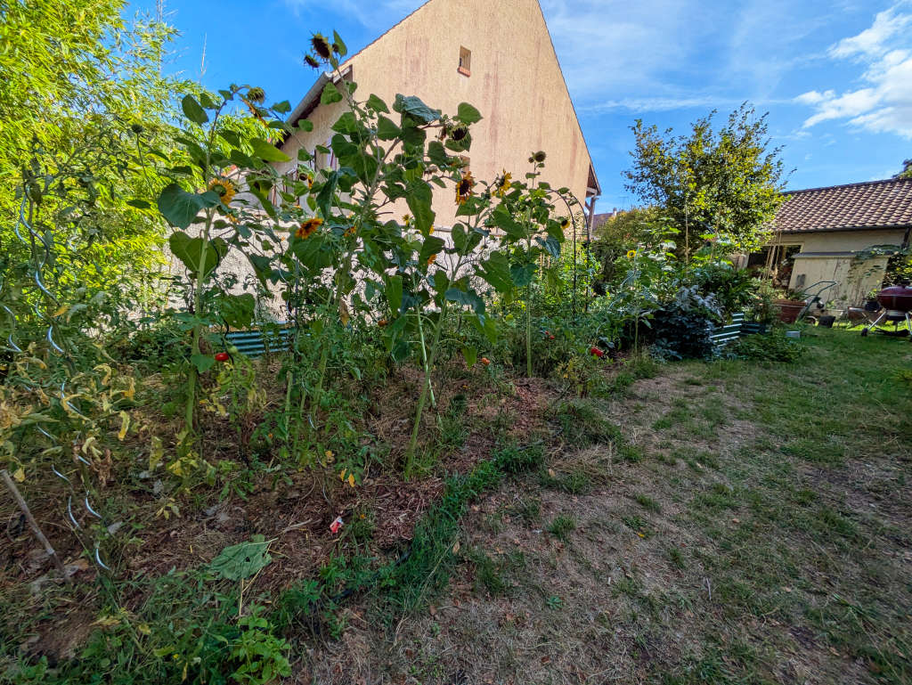 vue du potager