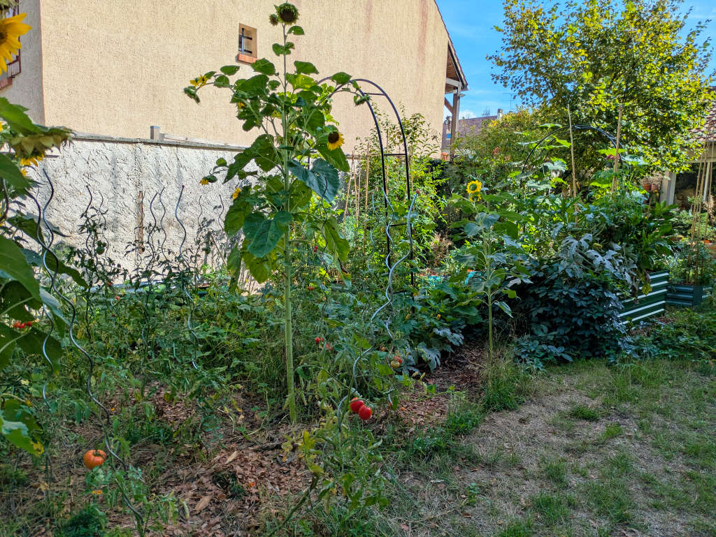 Arches pour faire grimper les courges