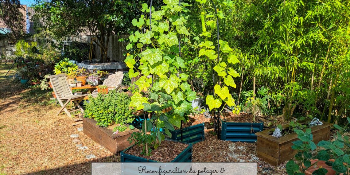 Reconfiguration du potager & nouvelle jardinière en palette