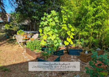 Reconfiguration du potager & nouvelle jardinière en palette