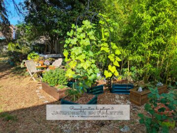 Reconfiguration du potager & nouvelle jardinière en palette
