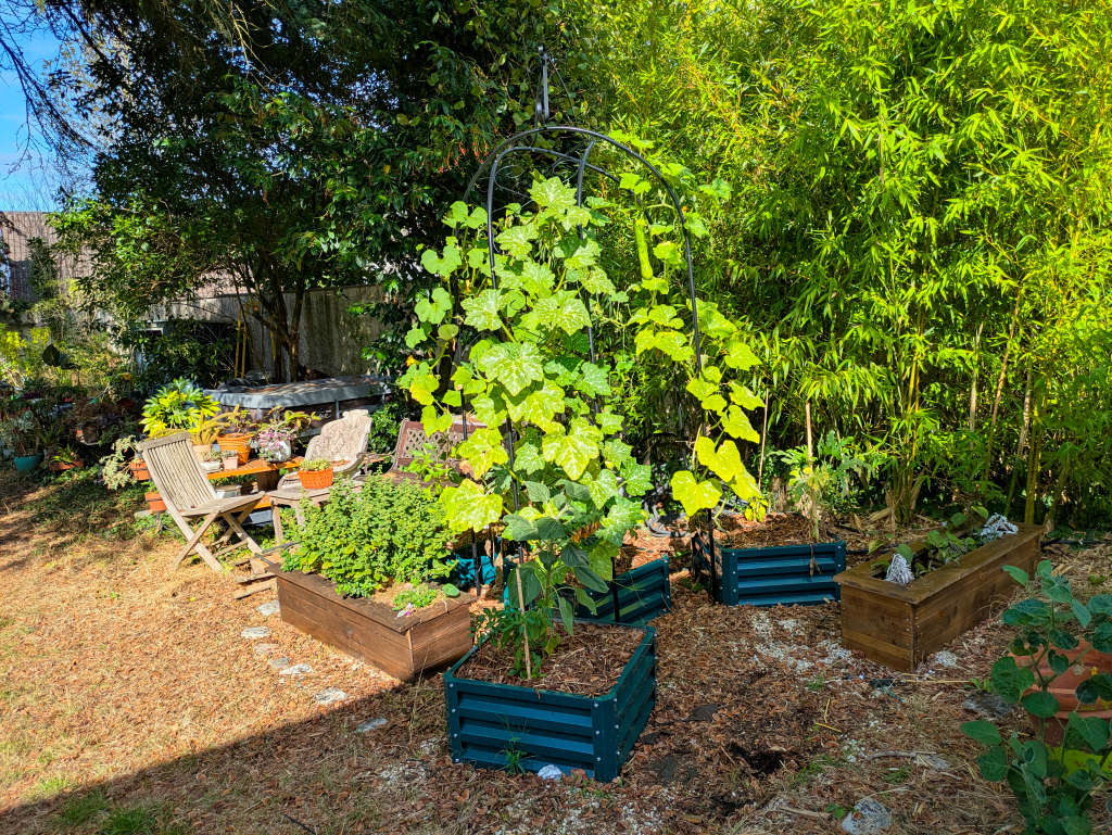 fond du potager