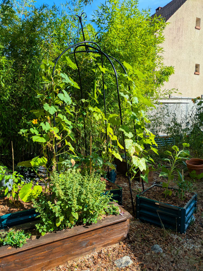 fond du potager