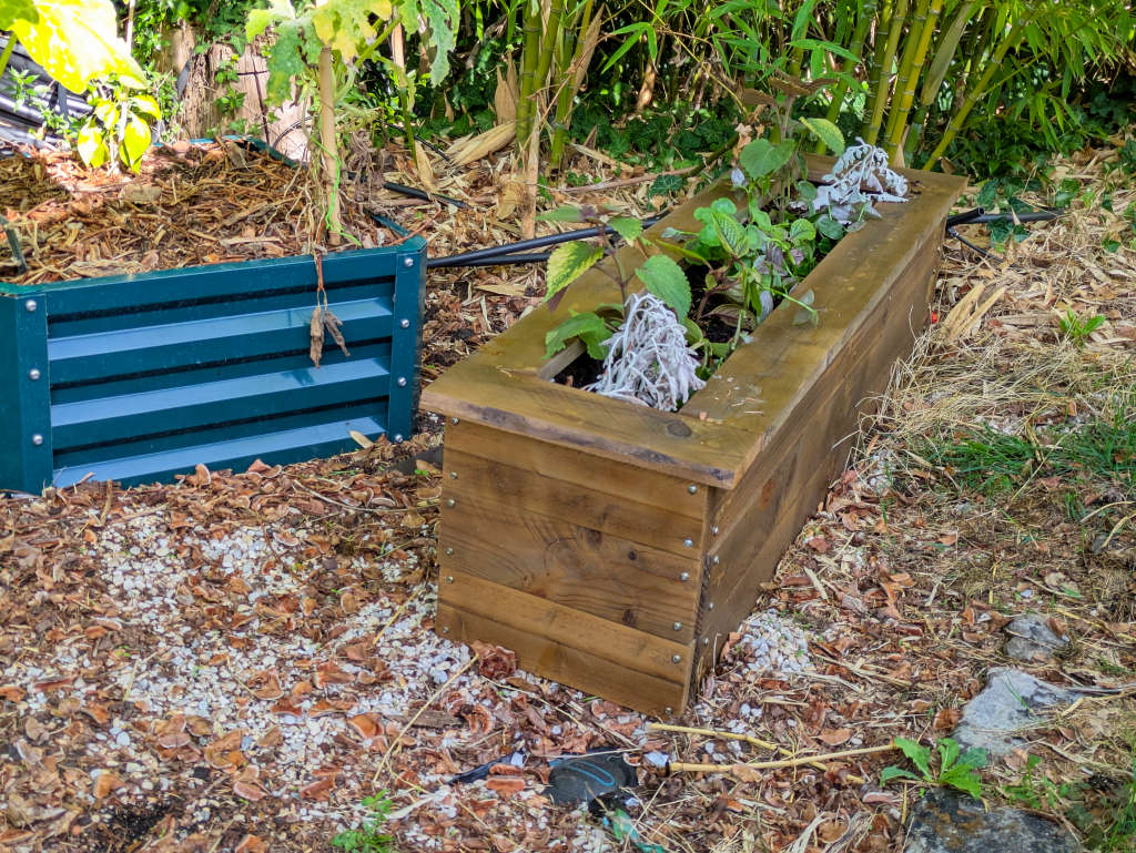 Boutures et petites plantes dans la jardinière en palette