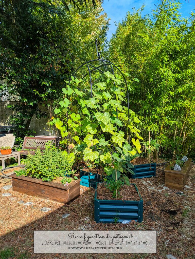 Reconfiguration du potager & nouvelle jardinière en palette