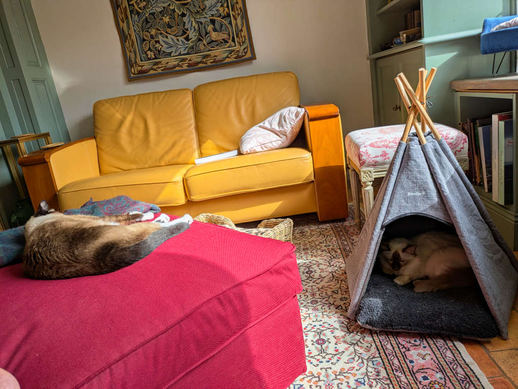Tullia dans le tipi