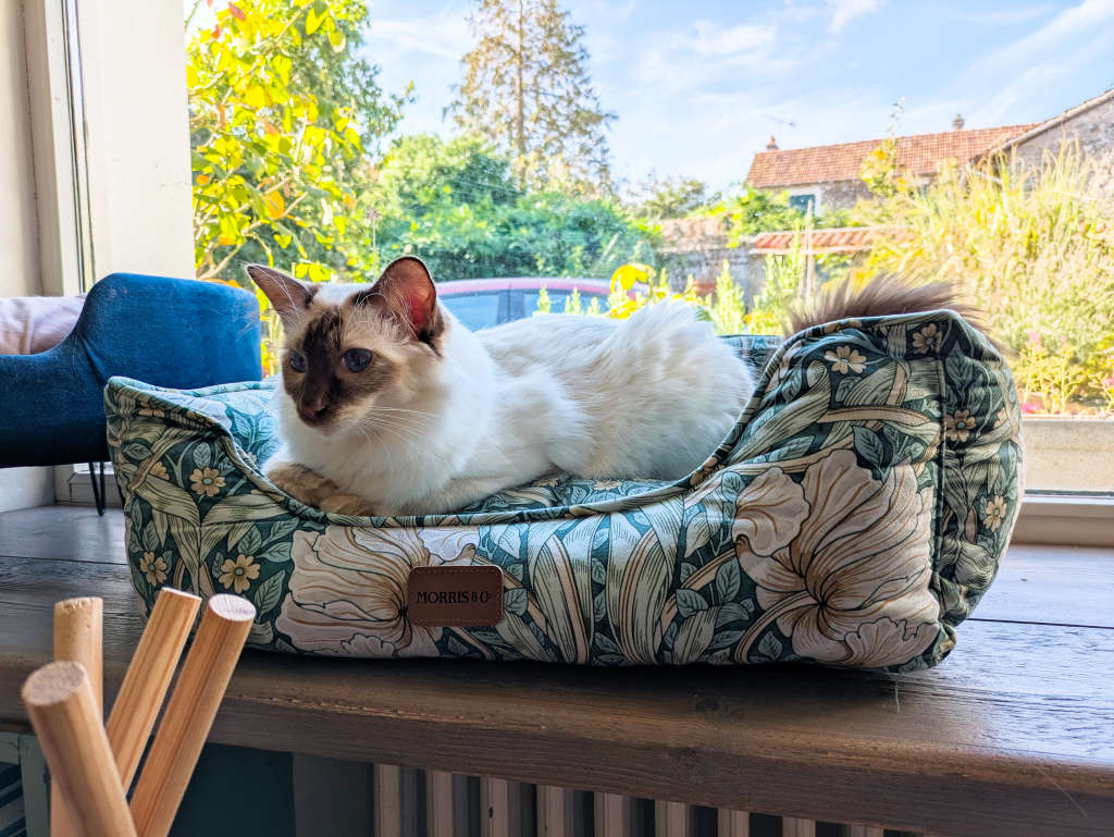 Panier pour chat Morris and Co