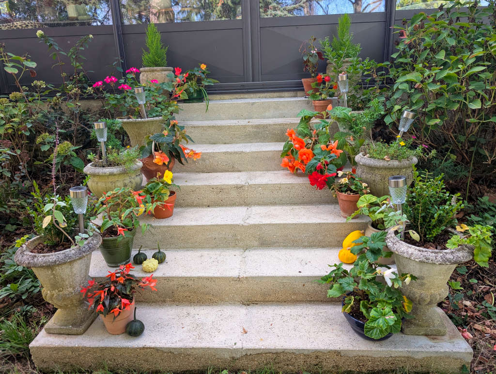 Coloquintes