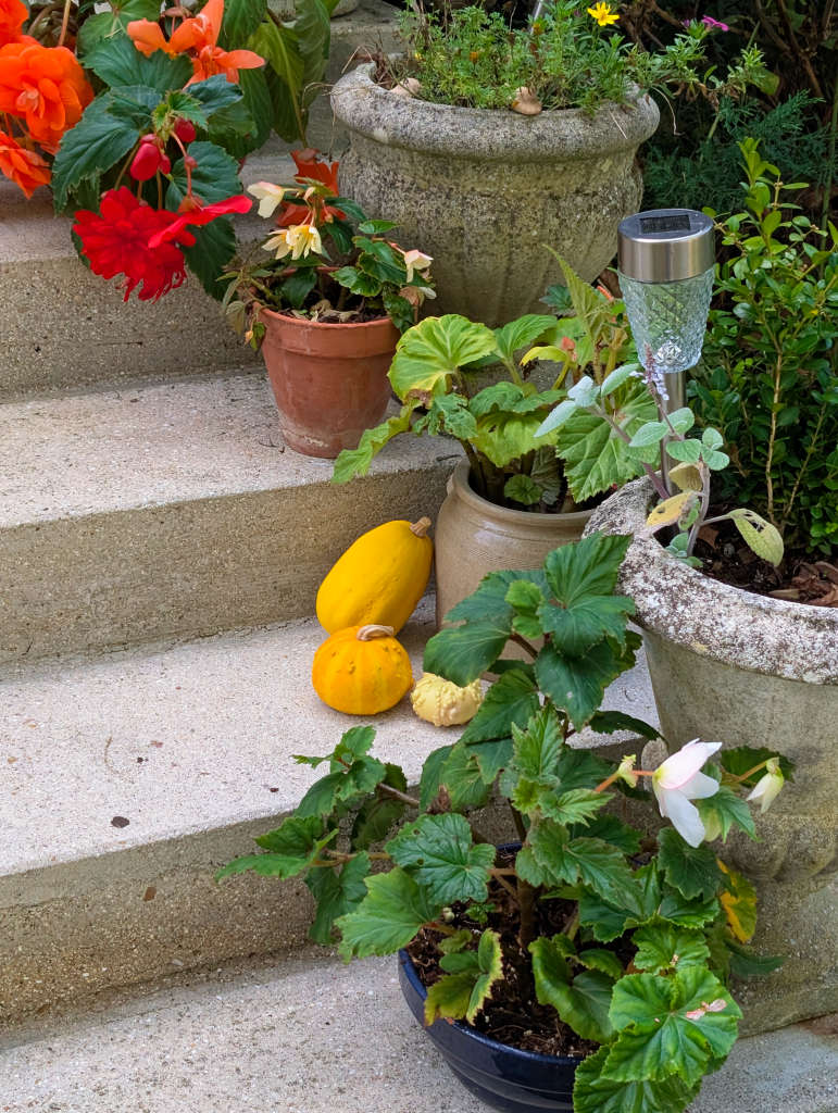 touches automnales sur l'escalier