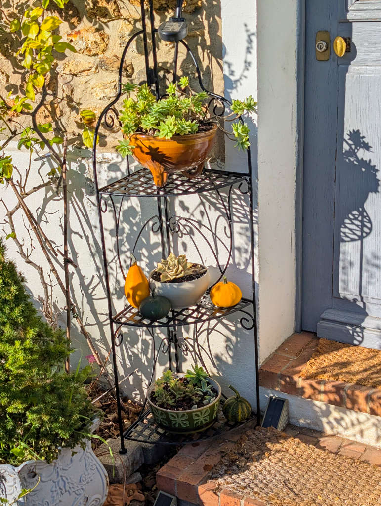 Coloquintes sur les étagères rénovées
