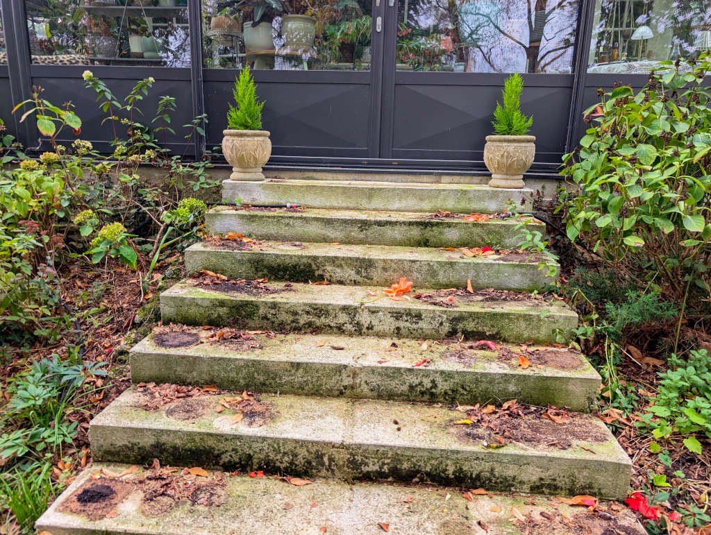 Escalier débarrassé des plantes